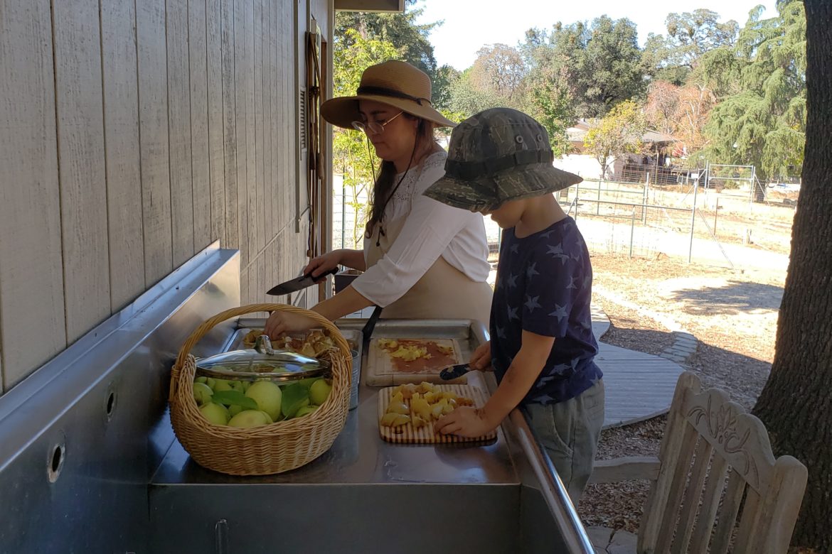 Harvest Apples for Homemade Applesauce