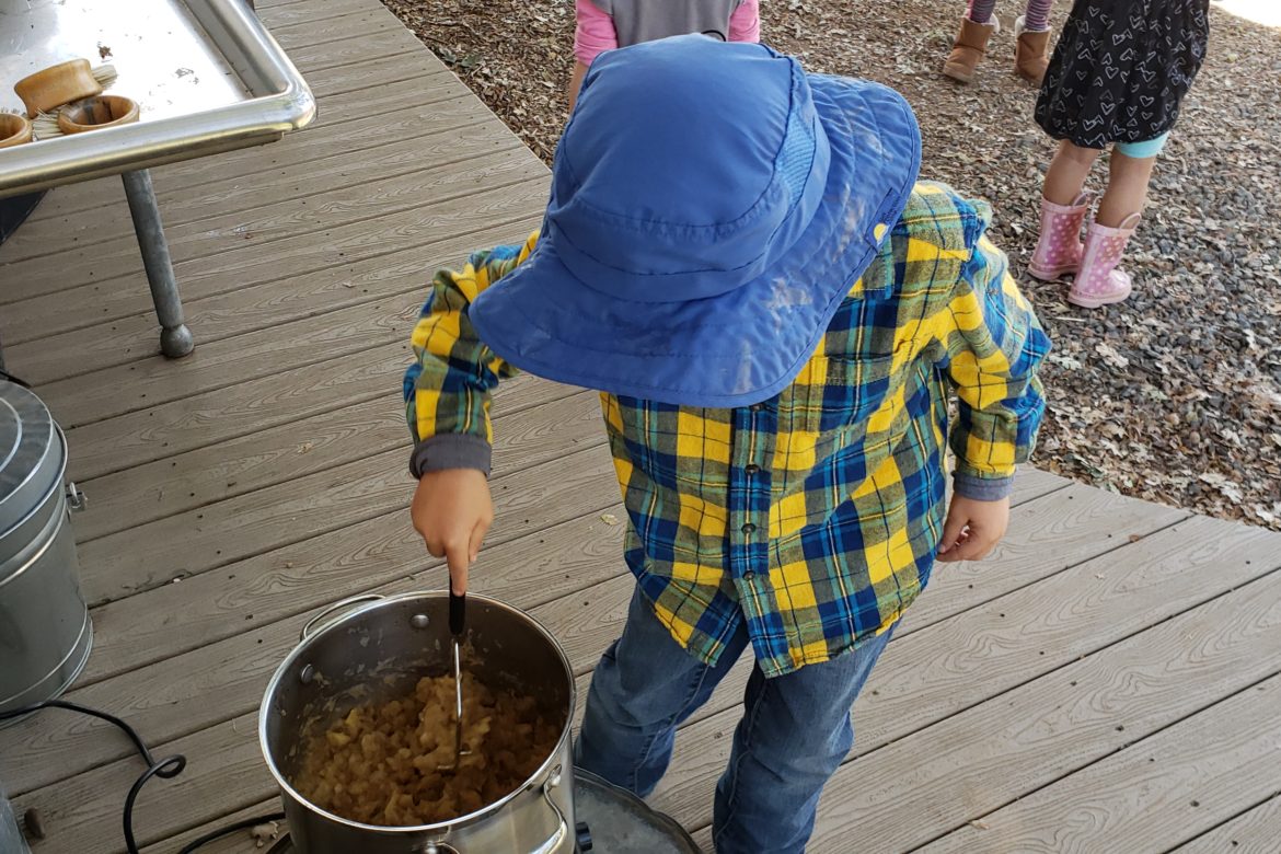 Homemade Applesauce